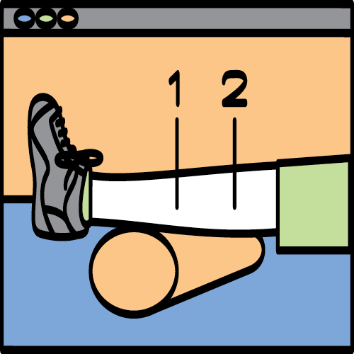 illustration of legs with numbers pointing to them