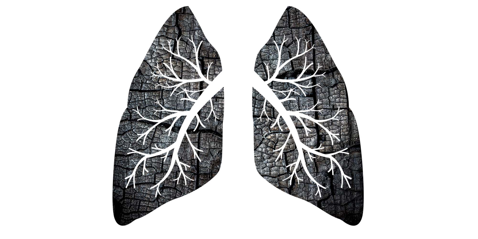 smoke inhalation impact on lungs illustration