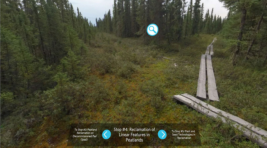 virtual learning slide showing boreal forest