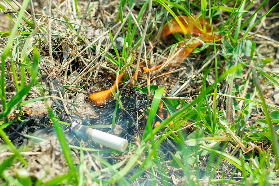 cigarette starting fire in forest