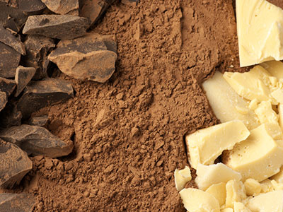 cocoa butter and cocoa solids