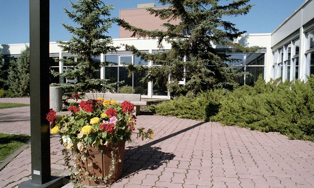 flowers in a courtyard at NAIT main campus in the summer, with spruce trees in the background