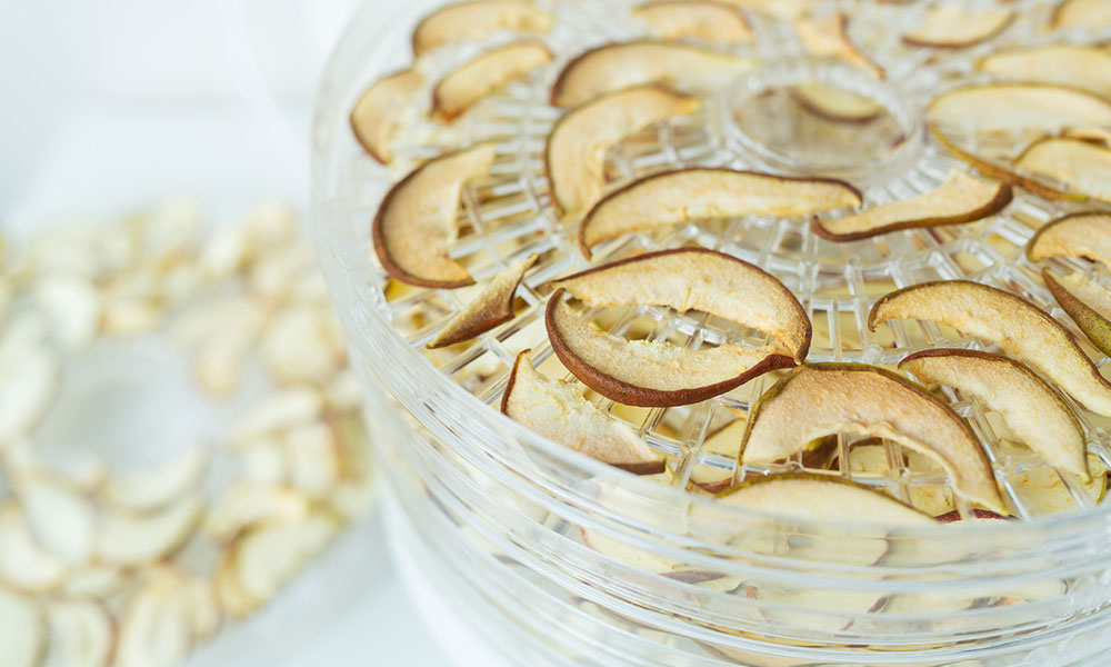 pear slices drying in food dehydrator