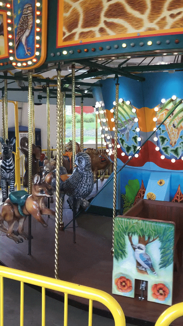 edmonton valley zoo carousel restored