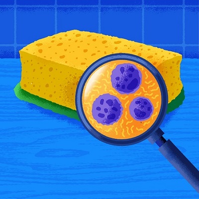 sponge with germs on it