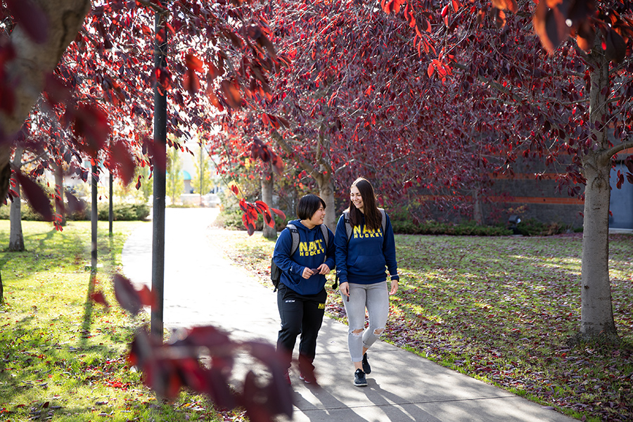NAIT students walk to class on main campus in the fall
