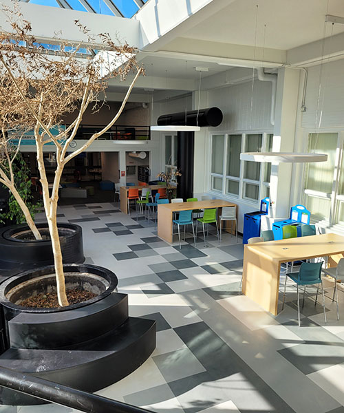 naitrium student lounge at nait, with tables and chairs, natural light and leafless fig trees