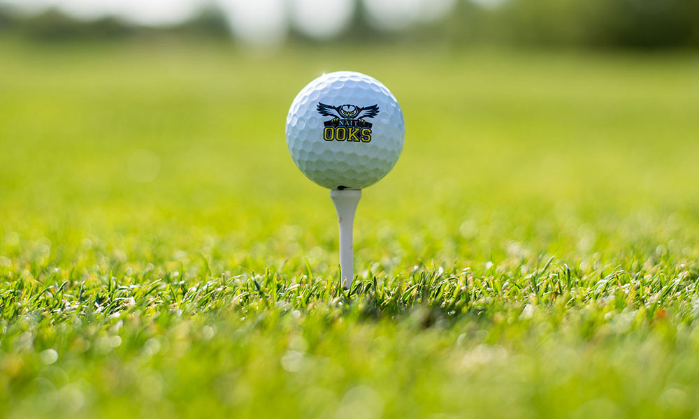 golf ball with nait ooks logo on a tee