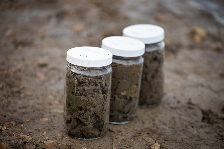 Samples of river sediment collected from the North Saskatchewan