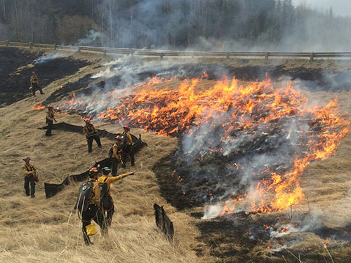 a wildfire prescribed burn in Alberta
