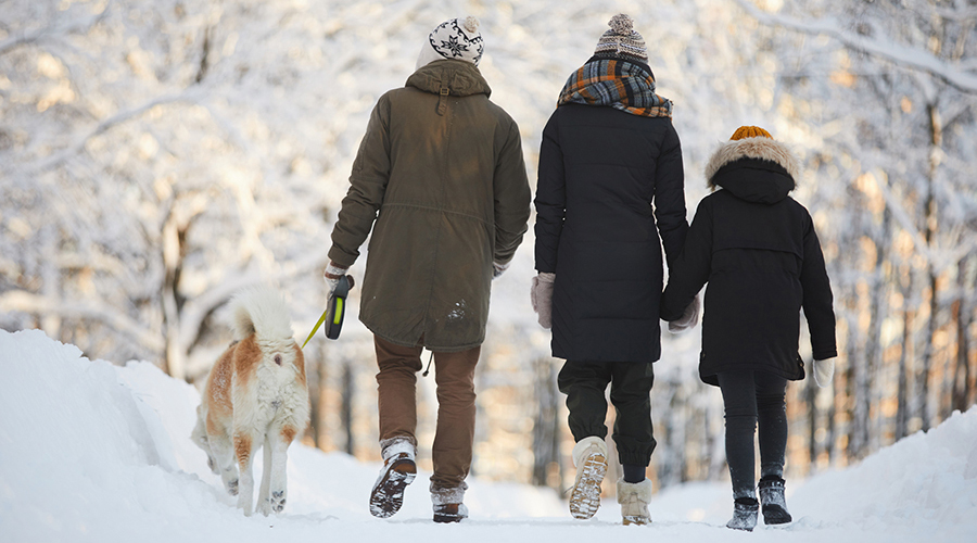 family walking in the winter