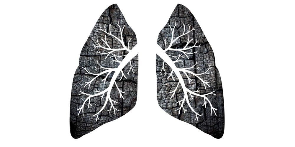 illustration of lungs made from charcoal
